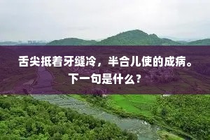 百喙如一成语的解释