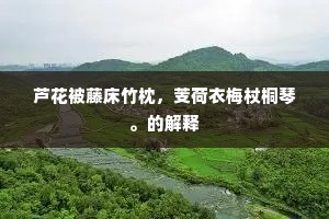 百密一疏成语的解释