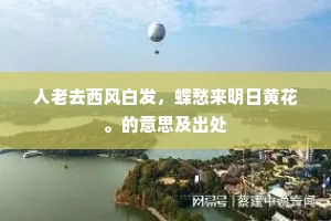 迹同飞鸟栖高树，心似闲云在太虚。出自哪首诗？