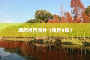 勿让认命成为常态：重拾激情，挑战自我