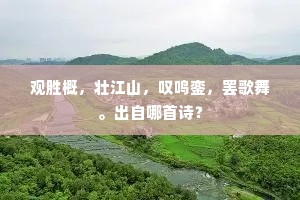 高鸟散飞惊大旆，长风万里卷秋鼙。全诗是什么？