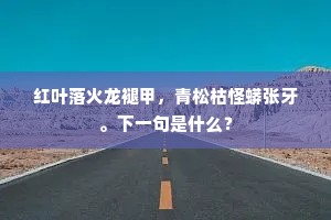 万里胡天海寒秋，分明弹出风沙愁。的释义