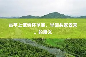 东峰下视南溟月，笑踏金波看海光。的释义