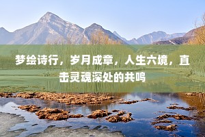 绣袍驰马拾遗翠，锦袖斗鸡喧广场。的意思及出处