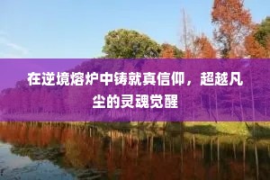 背暗投明成语的解释