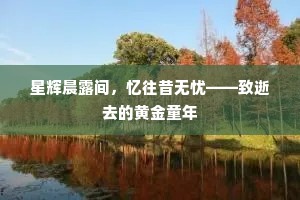 星辉晨露间，忆往昔无忧——致逝去的黄金童年