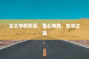 尘土中的花朵，童心向阳，生命之真