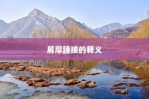 肩摩踵接的释义