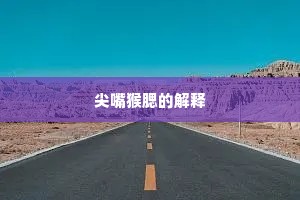 尖嘴猴腮的解释