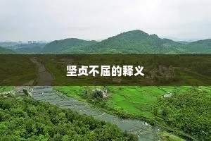 坚贞不屈的释义