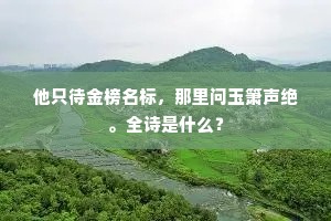 大抵物情应莫料，近来天意也须疑。的解释