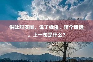 黄祖不怜鹦鹉客，志公偏赏麒麟儿。的意思及出处