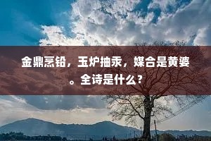 晓来何处低临水，无限鸳鸯妒不飞。的解释