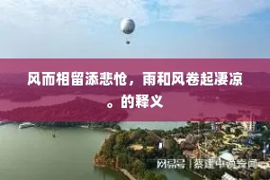 竞持飘忽意何穷，为盛为衰半不同。的解释
