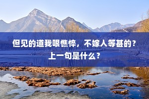 汉家曾草巡游赋，何似今来应圣明。的释义