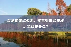 成日成夜成语的释义
