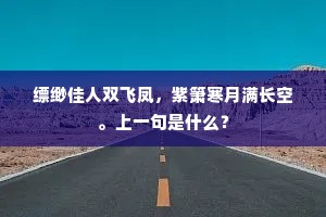 成双成对成语的解释