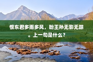 退愧单寒终预此，敢将恩岳怠斯须。的解释