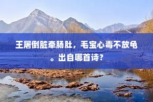 彪形大汉成语的拼音