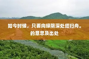 表里相应成语的拼音