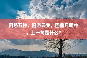 标新创异成语的释义