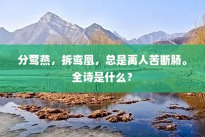 表里不一成语的解释