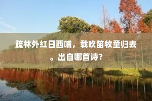 烟岚晚过鹿裘湿，水月夜明山舍虚。出自哪首诗？