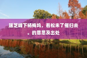 伯玉知非成语的释义