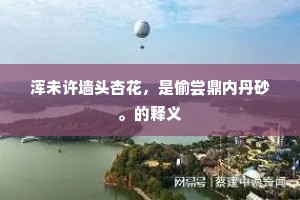 病久无人著意看，玉华衫色欲凋残。的释义