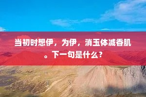 薄技在身成语的拼音