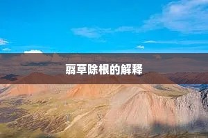 不到黄河心不死成语的拼音