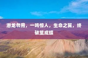 谁人肯信山僧语，寒雨唯煎治气汤。的释义