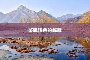 偏怜不怕傍人笑，自把春罗等舞衫。全诗是什么？