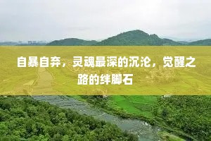 年来寄与乡中伴，杀尽春蚕税亦无。的解释