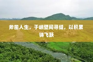 不遑启处成语的解释