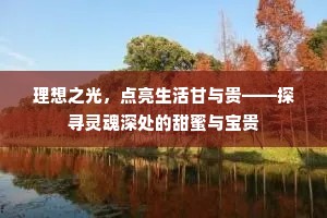 理想之光，点亮生活甘与贵——探寻灵魂深处的甜蜜与宝贵