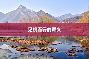 见机而行的释义