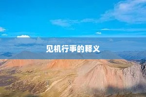 见机行事的释义