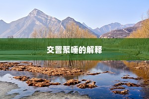 交詈聚唾的解释