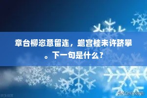 心觉清凉体似吹，满风轻撼叶垂垂。的解释