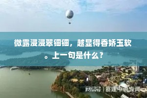 步履维艰成语的解释