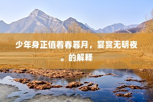 唯有夜樽欢莫厌，庙堂他日少闲游。的解释