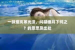 才高气清成语的拼音
