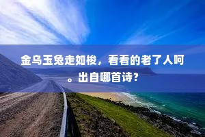 春飞见境乘桴切，夜唳闻时醉枕醒。下一句是什么？