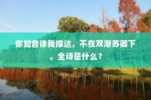 官职已辜疲瘵望，诗名空被后生传。的释义