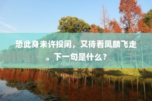 才子佳人成语的拼音