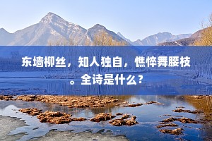 材疏志大成语的拼音