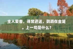 行人自笑不归去，瘦马独吟真可哀。的意思及出处