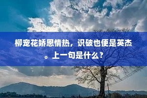 曾向楚台和雨看，只于吴苑弄船寻。的意思及出处