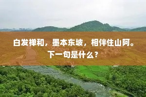 夜来风入最高枝，罥断愁肠几尺丝。的解释